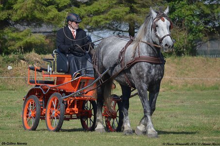 2017-06-10 CCA Saint Pierre Bénouville, 09-DSC_6614