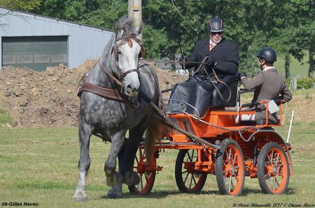 2017-06-10 CCA Saint Pierre Bénouville, 09-DSC_6616