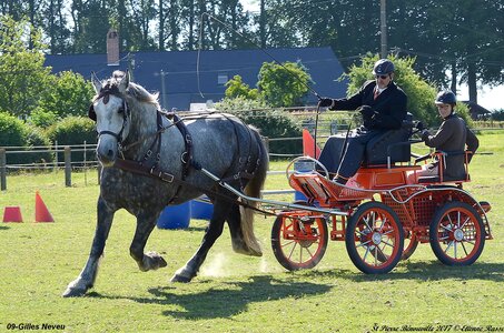 2017-06-10 CCA Saint Pierre Bénouville, 09-DSC_6646