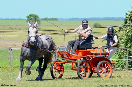 2017-06-10 CCA Saint Pierre Bénouville, 09-DSC_6986