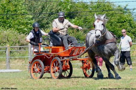 2017-06-10 CCA Saint Pierre Bénouville, 09-DSC_6987