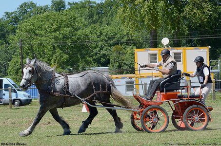 2017-06-10 CCA Saint Pierre Bénouville, 09-DSC_6996