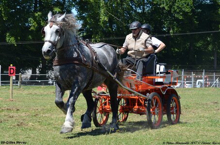 2017-06-10 CCA Saint Pierre Bénouville, 09-DSC_6999