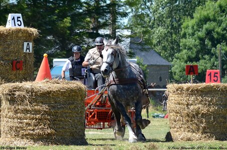 2017-06-10 CCA Saint Pierre Bénouville, 09-DSC_7003