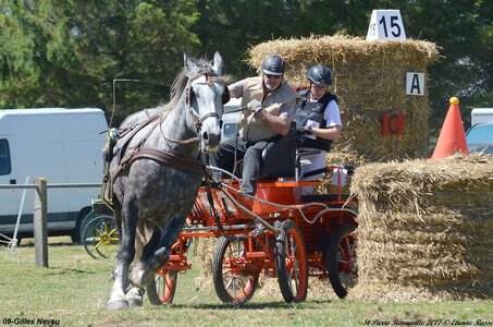 2017-06-10 CCA Saint Pierre Bénouville, 09-DSC_7005