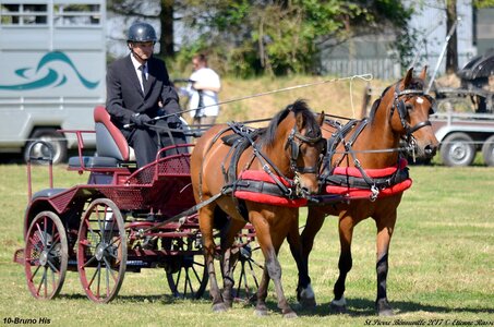 2017-06-10 CCA Saint Pierre Bénouville, 10-DSC_6718