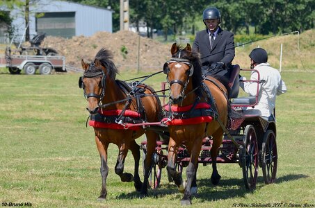 2017-06-10 CCA Saint Pierre Bénouville, 10-DSC_6725