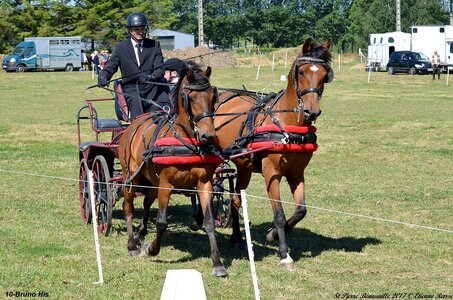2017-06-10 CCA Saint Pierre Bénouville, 10-DSC_6726