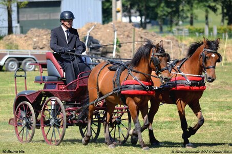 2017-06-10 CCA Saint Pierre Bénouville, 10-DSC_6737