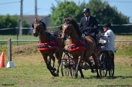 2017-06-10 CCA Saint Pierre Bénouville, 10-DSC_6753