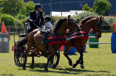 2017-06-10 CCA Saint Pierre Bénouville, 10-DSC_6761