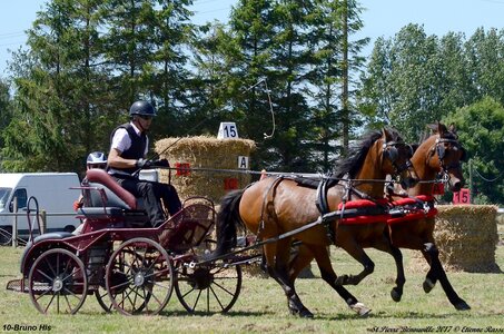 2017-06-10 CCA Saint Pierre Bénouville, 10-DSC_7060