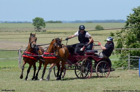 2017-06-10 CCA Saint Pierre Bénouville, 10-DSC_7062