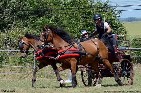 2017-06-10 CCA Saint Pierre Bénouville, 10-DSC_7065