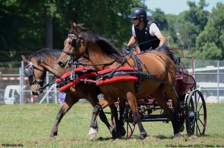 2017-06-10 CCA Saint Pierre Bénouville, 10-DSC_7070