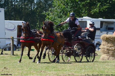 2017-06-10 CCA Saint Pierre Bénouville, 10-DSC_7078