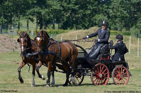 2017-06-10 CCA Saint Pierre Bénouville, 11-DSC_6743
