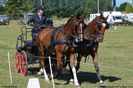 2017-06-10 CCA Saint Pierre Bénouville, 11-DSC_6746