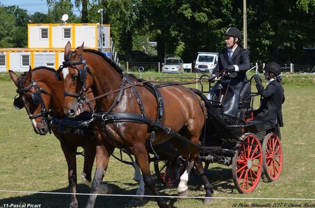 2017-06-10 CCA Saint Pierre Bénouville, 11-DSC_6752