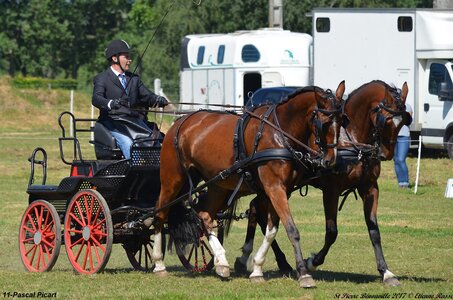 2017-06-10 CCA Saint Pierre Bénouville, 11-DSC_6774