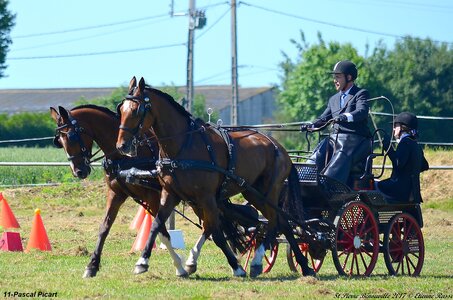 2017-06-10 CCA Saint Pierre Bénouville, 11-DSC_6799