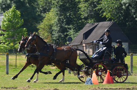 2017-06-10 CCA Saint Pierre Bénouville, 11-DSC_6814
