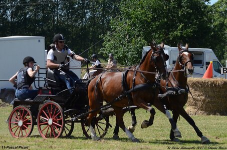 2017-06-10 CCA Saint Pierre Bénouville, 11-DSC_7118