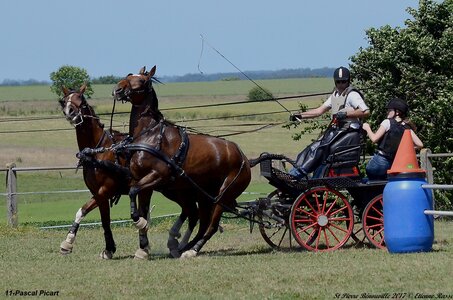 2017-06-10 CCA Saint Pierre Bénouville, 11-DSC_7121