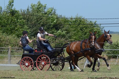 2017-06-10 CCA Saint Pierre Bénouville, 11-DSC_7131