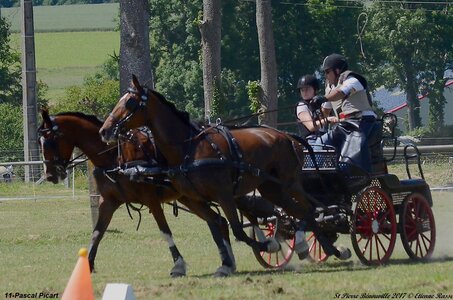 2017-06-10 CCA Saint Pierre Bénouville, 11-DSC_7152