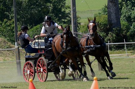 2017-06-10 CCA Saint Pierre Bénouville, 11-DSC_7153