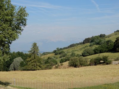 Randonnée du 14/06/2017 au mont Colombis, DSCN1284