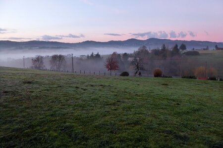 Monts du Lyonnais (Thurins 69610) décembre 2015, P1000226