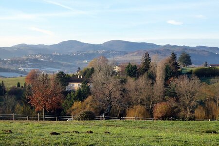 Monts du Lyonnais (Thurins 69610) décembre 2015, P1000207