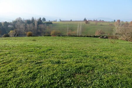 Monts du Lyonnais (Thurins 69610) décembre 2015, P1000187