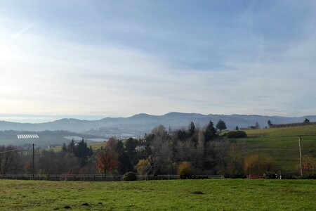 Monts du Lyonnais (Thurins 69610) décembre 2015, P1000174