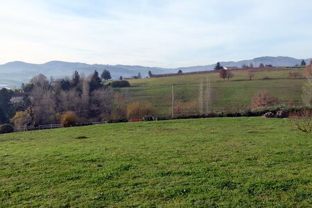 Monts du Lyonnais (Thurins 69610) décembre 2015, P1000173