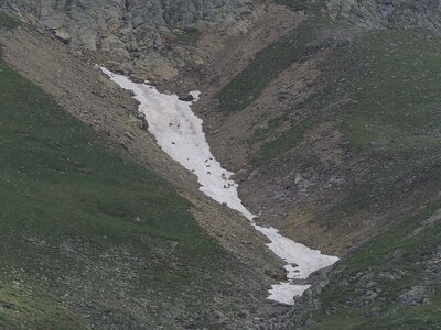 Randonnée du 18/06/2017 au Val Estrèche, P6180063  Copier 