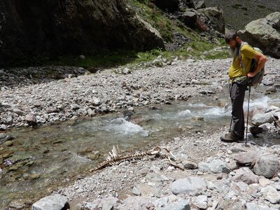 Randonnée du 18/06/2017 au Val Estrèche, DSCN1355