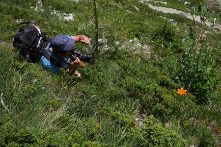 2017-06-24-25-alpinisme-col-ecrins, alpes-aventure-randonner-glacier-col-ecrins-refuge-glacier-blanc-2017-06-24-05
