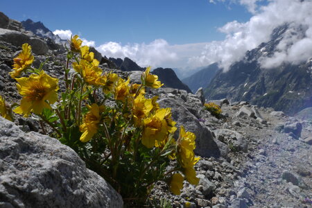 2017-06-24-25-alpinisme-col-ecrins, alpes-aventure-randonner-glacier-col-ecrins-refuge-glacier-blanc-2017-06-25-69