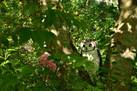 Jardin du Petit Chasseur mai 2017, DSC_0652