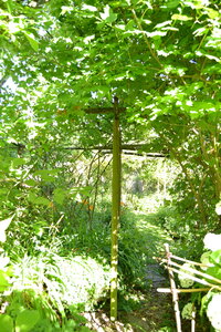 Jardin du Petit Chasseur mai 2017, DSC_0655