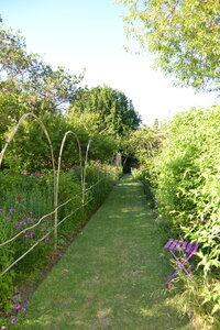 Jardin du Petit Chasseur mai 2017, DSC_0656