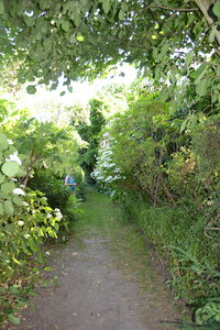 Jardin du Petit Chasseur mai 2017, DSC_0673