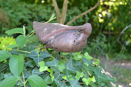 Jardin du Petit Chasseur mai 2017, DSC_0678