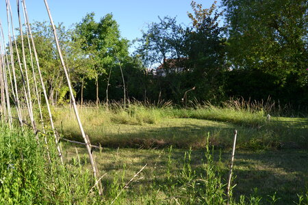 Jardin du Petit Chasseur mai 2017, DSC_0681