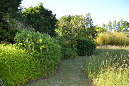 Jardin du Petit Chasseur mai 2017, DSC_0682