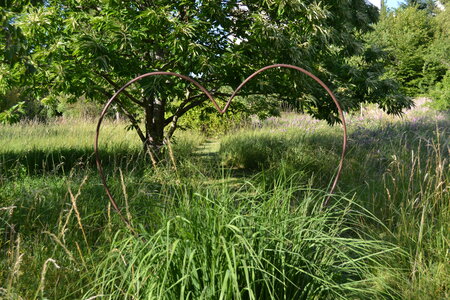 Jardin du Petit Chasseur mai 2017, DSC_0689