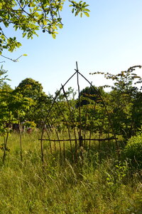 Jardin du Petit Chasseur mai 2017, DSC_0694